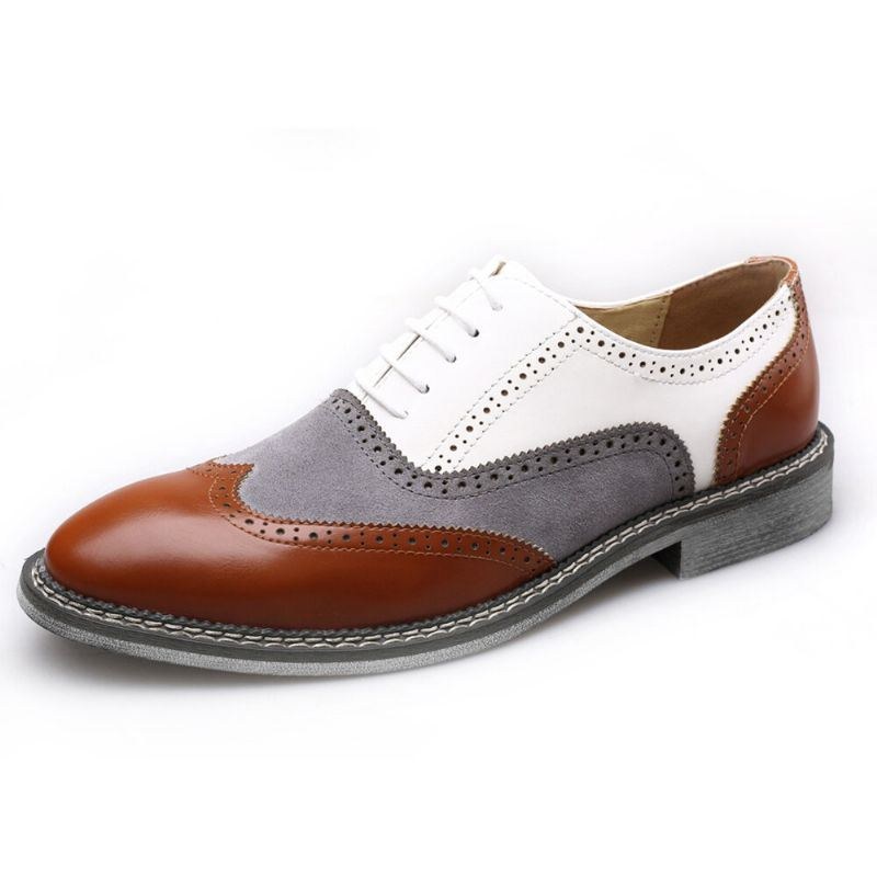 Herr Brogue Colorblock Oxfords Snörning Business Casual Formell Skor