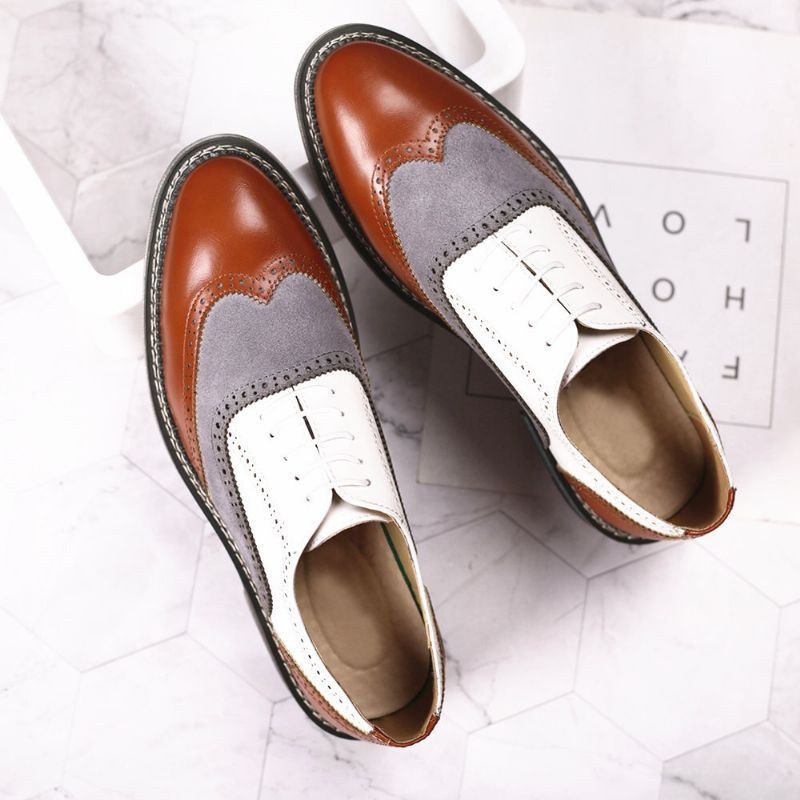 Herr Brogue Colorblock Oxfords Snörning Business Casual Formell Skor